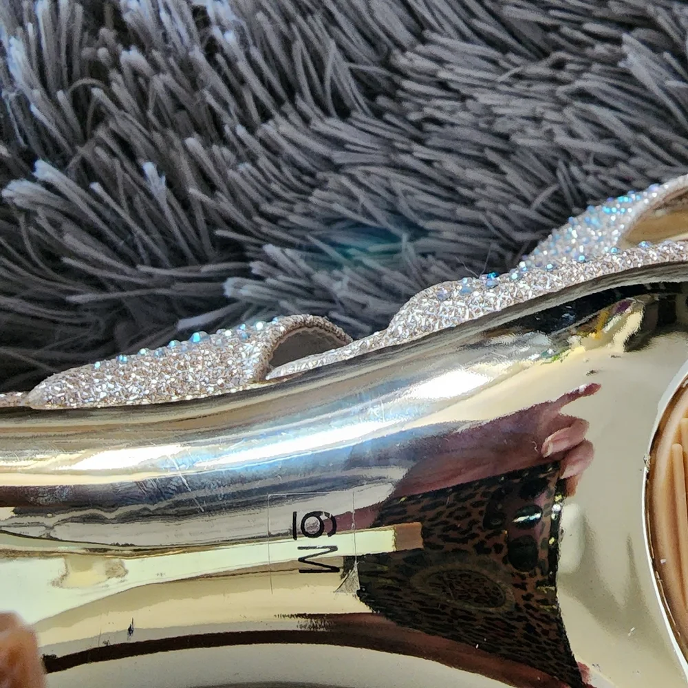 Beautiful Silver Slipper - Picture 5 of 5